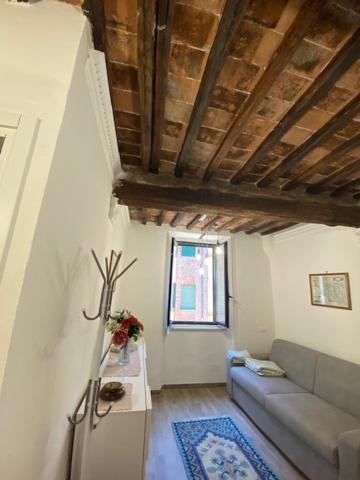 Apt Bruco Apartment Siena Exterior photo